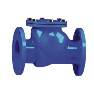 <span class=keywords><strong>BS</strong></span> DIN AWWA PN16 Sự Sản Xuất Đúc Sắt Cơ Thể Flang Đu Kiểm Tra Van - Product Image 4