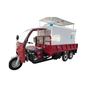 Véhicule à trois roues à essence de <span class=keywords><strong>grande</strong></span> capacité avec boîte de refroidissement Panneau solaire congélateur solaire avec panneau et batterie - Product Image 1
