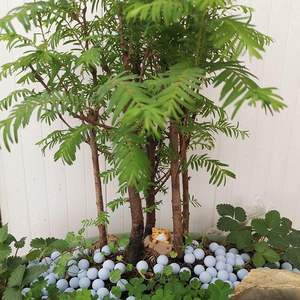 Mini Blue Hydroponics Clay Pebbles Mejorado 3mm-5mm Hydro Ceramsite Balls para riego hidropónico - Product Image 3