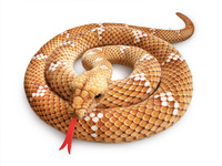 Peluche réaliste de serpent géant Anaconda vert, peluche de serpent simulée, peluche douce pour enfants