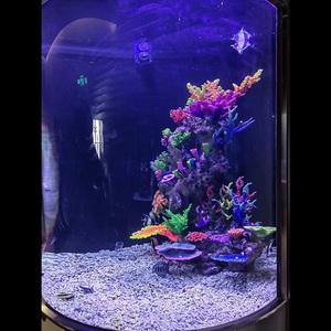 Fabrieksdirecte verkoop op maat gemaakte grote cilindrische acryl tanks voor aquaria, visbakken ontwerp en installatie - Product Image 5