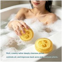 Savon solide artisanal biodégradable à l'huile essentielle de loofah, exfoliation douce, hydratant, pour peaux sensibles