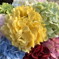 Bunga Hydrangea Buatan Realistis Sentuhan Asli Grosir 70 cm Lateks Lembut Seperti Asli Tangkai Tunggal Bunga Buatan