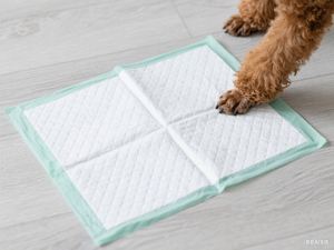 แผ่นรองซับปัสสาวะสำหรับแมวและสุนัข อุปกรณ์เฉพาะทางสำหรับการฝึกฟื้นฟูสมรรถภาพที่มีการเคลื่อนไหวจำกัด ปรับแต่งได้ - Product Image 3