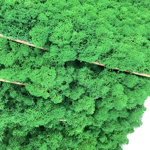 Vente en gros de renne sec naturel, <span class=keywords><strong>panneau</strong></span> mural de mousse verte éternelle préservé, art mural de mousse vivante pour la décoration intérieure, remise des diplômes de la fête des mères - Product Image 4