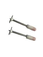 Clavos Integrados para Techo