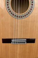 Aiersi Brand High Quality All Solid Cedar Top Flamenco 39 Inch Classical Guitar for Sale Professional Instrument