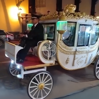 Accessoires de mariage de luxe personnalisés chariot de calèche tiré par des chevaux de mariage chariot de tourisme royal électrique à vendre