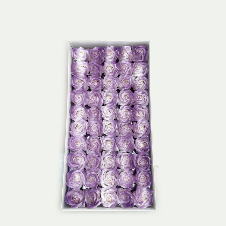 Pourpre