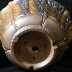 Pot à bonsaï en forme de lotus, fait main, en bois brûlé, grand tronc d'arbre, style zen Wabi Sabi - Product Image 4