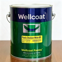 Peinture époxy liquide Wellcoat 3,5 L haute couvrance, anti-jaunissement, pour bateaux et décoration murale intérieure, application au pinceau