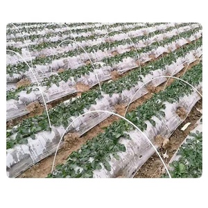High Strength Smooth-Finish FRP Fiberglass <b>Pole</b> <b>for</b> Greenhouse <b>Garden</b> Camouflage Net Flexible Support <b>for</b> Construction Cutting - Product Image 5
