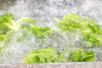 Automatische Gemberaardappel Fruitgroentewasmachine Data Reinigingsmachine Aardappelen Plantaardige Vortex Wasmachines