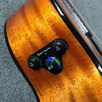 Amplificateur de guitare acoustique à cordes, 20 pouces, collection de vibration avec retardement de inversée, instrument à cordes, pièces de rechange