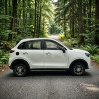 Véhicule électrique compact de luxe en gros, SUV à longue autonomie, 4 roues motrices, véhicule à énergie nouvelle pour adultes, idéal pour les trajets urbains