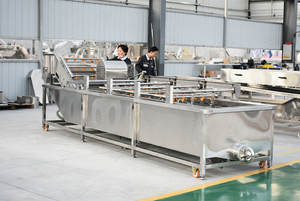 SUS 304 mesin cuci dan pengering sayuran, daun hijau daun Moringa segar mesin cuci dan Pengering - Product Image 4