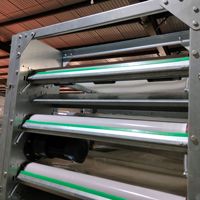 Nouvelle cage d'élevage de cailles automatique de haute qualité de type H avec fil galvanisé et élimination automatique du fumier
