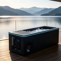 Baignoire de récupération à froid en acrylique 1HP avec refroidisseur et filtre, tout-en-un pour athlètes, idéale pour villa, salle de sport, jardin