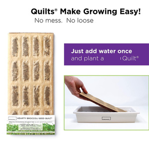 HAMAMA <span class=keywords><strong>Easy</strong></span> Setup Microgreens Growing Kit 3 Bandeja de cerámica Indoor s Mat Edredones Incluye Kale Broccoli Macetas - Product Image 3
