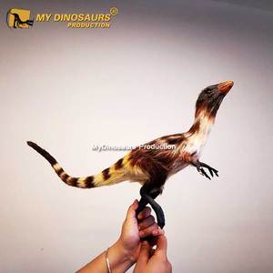 Mi-Dino <span class=keywords><strong>parque</strong></span> temático Animatronic <span class=keywords><strong>loro</strong></span> para venta - Product Image 6