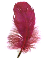 Plume d'oie de citron vert pour Arts artisanat bricolage stylo aile coiffure fête carnaval Costume chapeau cheveux accessoire Halloween maison décor de noël