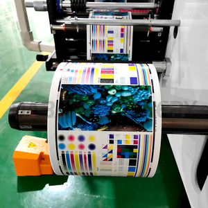 Máquina de Impresión Flexográfica DABA para Etiquetas de Productos Químicos Diarios, Prensa de Impresión Flexográfica con Curado UV para Papel PET, PVC y BOPP - Product Image 5