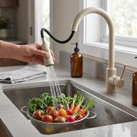 Robinet de cuisine moderne en acier inoxydable SUS304 avec douchette extractible pivotante à 360 degrés, mitigeur chaud/froid pour hôtel