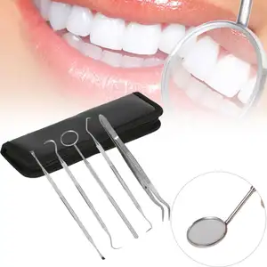 5-teiliges Set Edelstahl Zahnarzt Zahnpflege Reinigung Zahn aufhellung Zahnseide Dental Hygiene Kit Plaque Remover Set D.