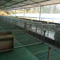 Jaula de Destete para Lechones Galvanizada de Primera Calidad, Equipo para Granjas Porcinas, Diseño de Corrales para Cerdos en Venta