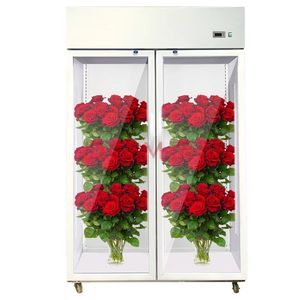 Thương mại Cooler dọc cửa kính tiếng ồn thấp tiêu thụ năng lượng thấp tủ lạnh nâng cấp tủ trưng bày - Product Image 3