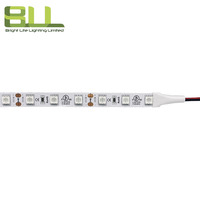 Smd 5050 60leds azul solo color Flex iluminación de decoración inteligente para pasillo de hotel luz LED inteligente
