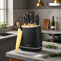 Ensemble de 8 couteaux de chef en acier inoxydable avec lame dorée, couteau Santoku, couteau à trancher, couteau à pain, couteau utilitaire, ciseaux et bloc de rangement