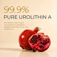 Complément Alimentaire Premium en Fibres – Formule Bien-être Quotidienne – Gélules Végétaliennes – Pour Adultes – Marque Privée – Fournisseur ODM