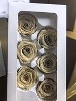 Tête de rose légèrement défectueuse en liquidation – Rose éternelle stabilisée naturelle de 4-5 cm à prix réduit