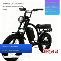 Vélo électrique personnalisé avec assistance électrique, moteur de moyeu arrière 48V 20 pouces, pneus larges au lithium, pour la neige, le sable et les terrains accidentés, longue autonomie de la batterie
