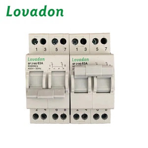 Interruptor de Desconexión Manual de Transferencia 63A 2P de Cobre con Certificación CE LOVADON SF219G para Sistema Solar Fotovoltaico - Product Image 1