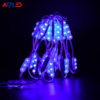 Module LED miniature 40x12mm, lumière rouge, indice de protection IP68, dimmable, puce SMD 2835, DC12V