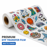 Film PET DTF Mat à Décollement à Froid en Rouleau, Largeur 30cm 60cm, Longueur 100m, Film de Transfert Thermique pour Impression sur T-shirts, Sweats à Capuche et Tissus