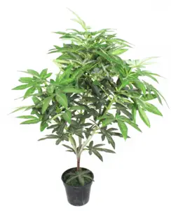 Großhandel Künstliche Cannabis pflanze Kunststoff-Cannabis pflanze