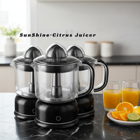 Elektrische draagbare citruspers blender 1200ml capaciteit AC motor stille multifunctionele milieuvriendelijke slowjuicer smoothie