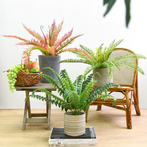 Planta Artificial de Hoja Persa Greenway, Decoración de Helecho, Planta en Maceta para Interiores, Adorno para Sala de Estar, Bonsái Pequeño - Product Image 1