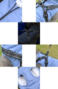 Pakaian mewah hewan peliharaan kustom pakaian hewan peliharaan berkualitas tinggi dada dan belakang satu rompi hewan peliharaan pakaian anjing Musim Dingin - Product Image 6