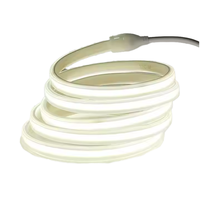 Bande lumineuse COB AC 220V, étanche, ultra-lumineuse, télécommande, 10mm, pour jardin, cour, villa, balcon