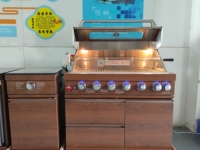 Cuisine extérieure complète avec évier, réfrigérateur à double porte et barbecue au gaz, utilisation domestique en jardin, robuste, imitation bois, éclairage LED