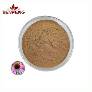 Беньфэн, чистый натуральный экстракт эхинацеи пурпурной, порошок эхинацеи пурпурпурной, экстракт 10:1 20:1 - Product Image 1