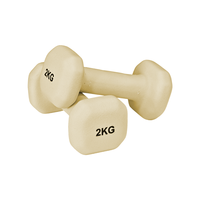 Haltères de fitness personnalisés en fonte, haltères carrés en gros, poids de main pour la gym, haltères en néoprène, poids libres pour Pilates