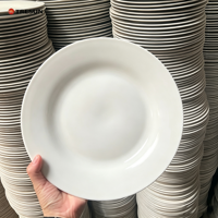 Vente en gros de vaisselle en céramique blanche personnalisée, assiettes en porcelaine blanche, résistantes au micro-ondes et au lave-vaisselle, pour restaurant