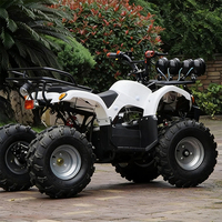Quad tout-terrain Little Bull, quad à quatre roues, essence, adulte, 125cc, transmission à différentiel, tout terrain