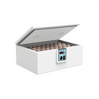 Incubateur à œufs automatique Tongda New Bionic Water Bed Home, facile à utiliser, garantie 1 an