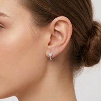 Boucles d'oreilles créoles cœur en argent sterling 925, entièrement pavées de zircons, petites créoles pour femmes, bijoux d'oreille, vente en gros, personnalisation usine